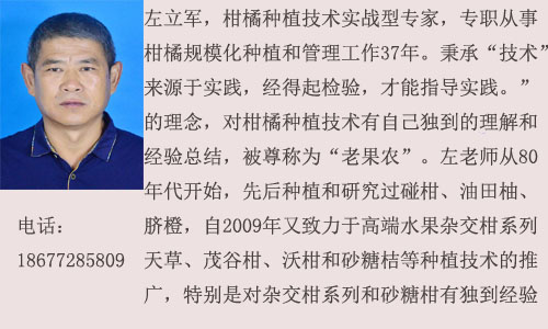 左立军.jpg