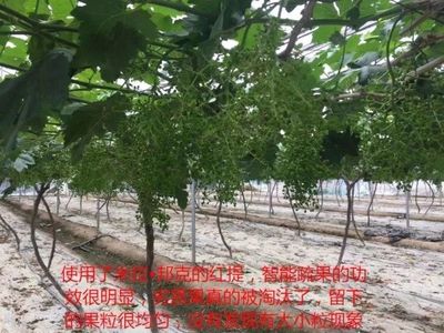 微信图片_20180524091405.jpg