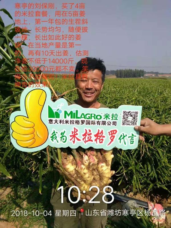 380708722374829658.jpg
