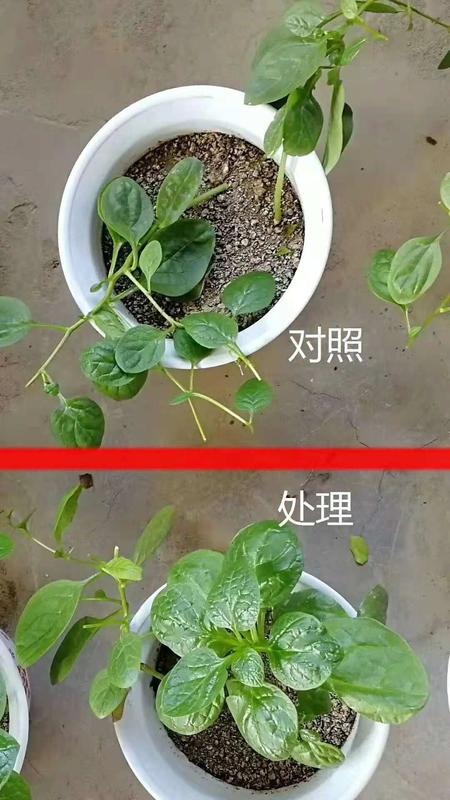 微信图片_20181011092454.jpg