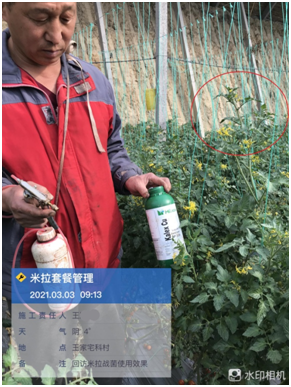 文章附图
